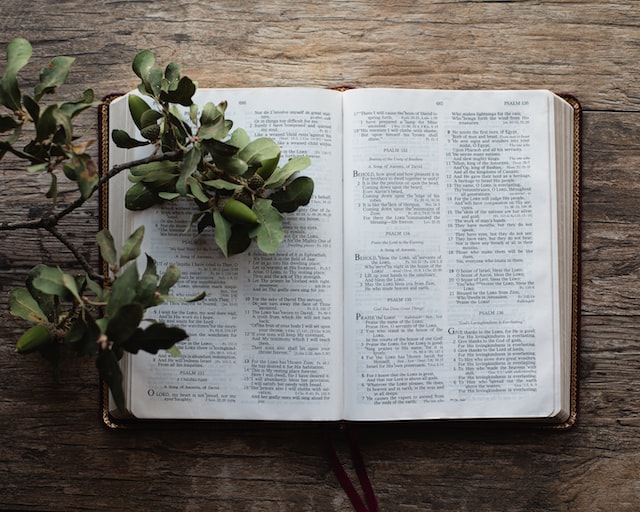 Practical Ideas for Daily Bible Study