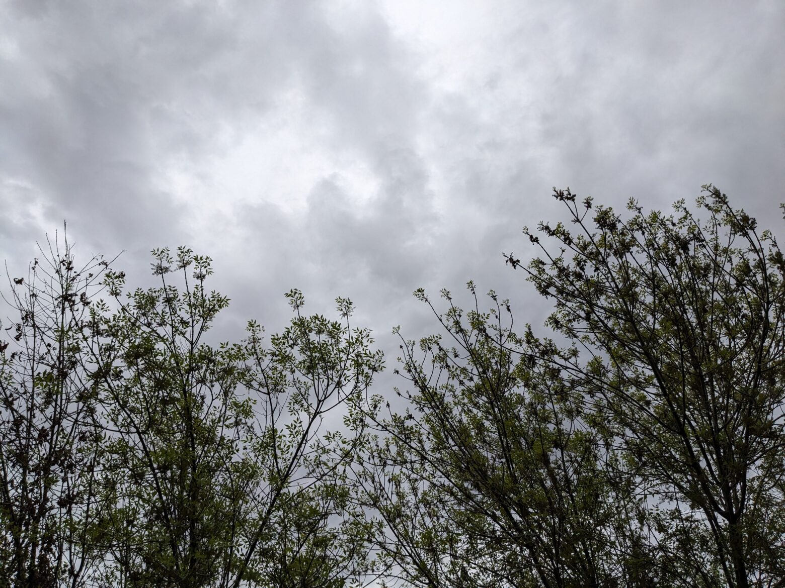 A Relaxed Rainy Day at Home